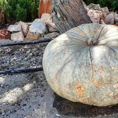 Sarakiniko بيت ضيافة